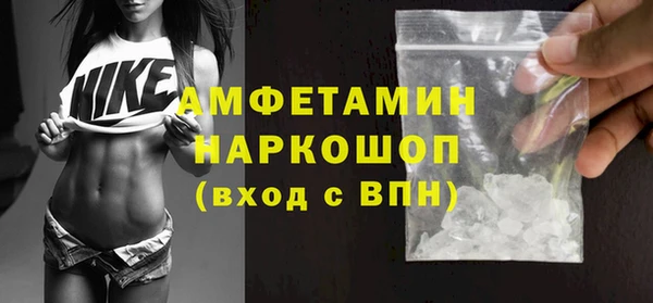 индика Алексин
