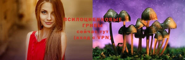 крисы Арсеньев