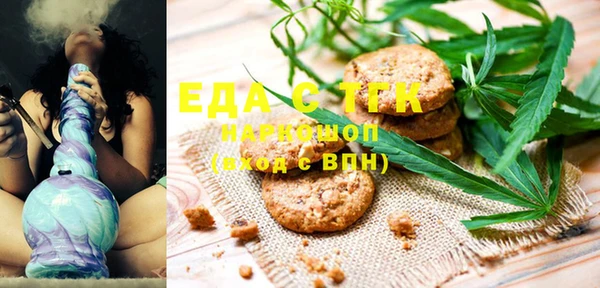 индика Алексин