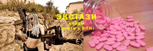 индика Алексин