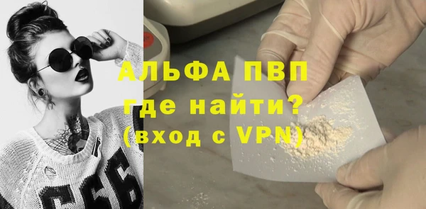 индика Алексин