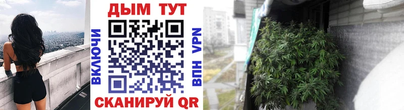 Купить закладки  Павловская  Каннабис SATIVA & INDICA 